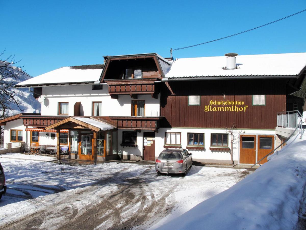 Apartment Klammlhof-4 By Interhome Zell am Ziller Εξωτερικό φωτογραφία